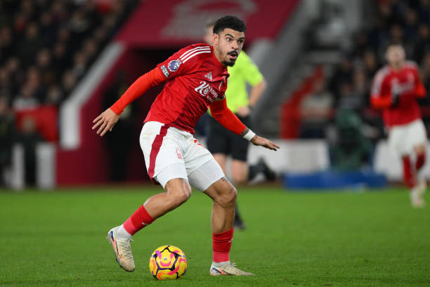 抉择并不能 抉择并不能